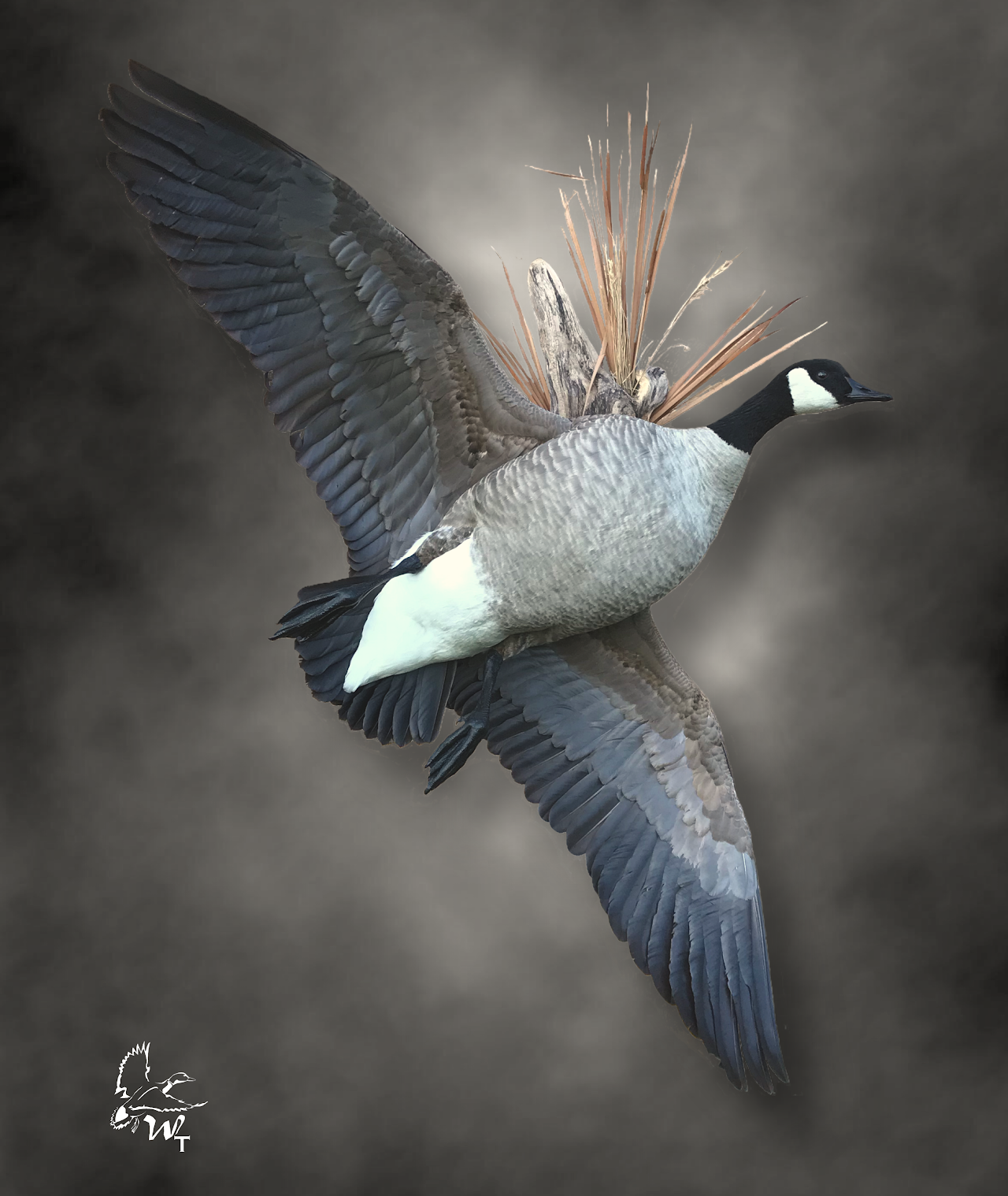 Goose