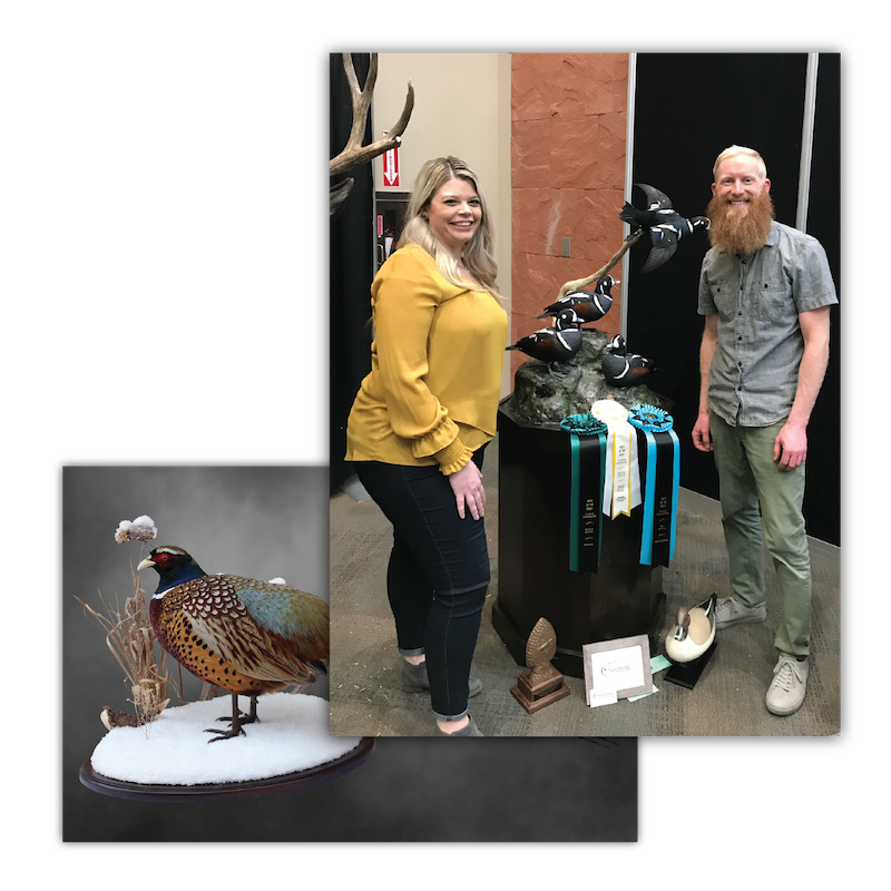 westbroek taxidermy-01