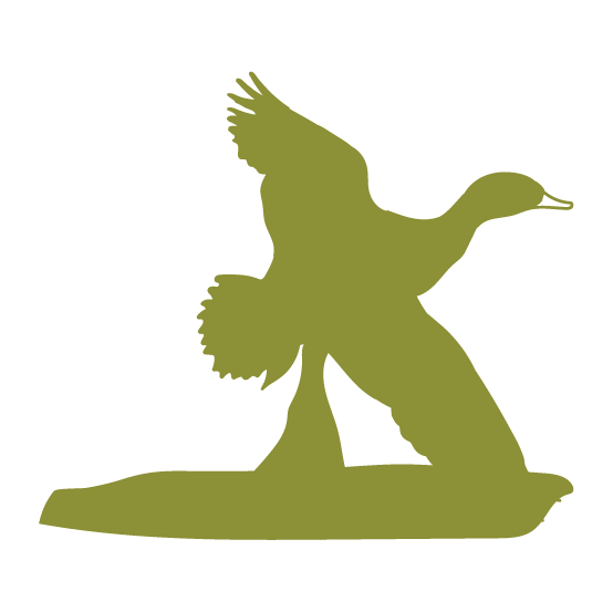 Taxidermy-05