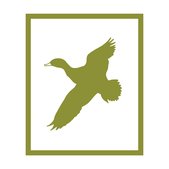 Taxidermy-10